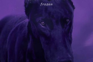 Madonna ft Sickick & Fireboy DML – Frozen (Remix)