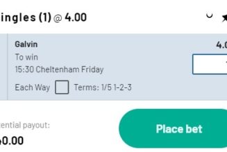 Matt Chapman Tip for Gold Cup – Cheltenham Day 4 Tips