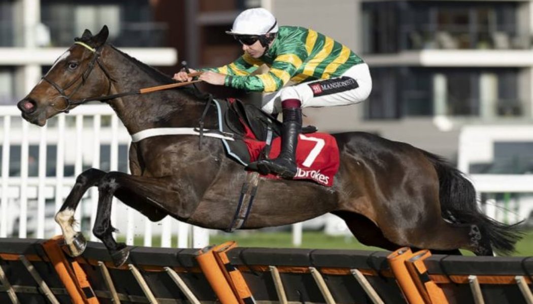 Nicky Henderson Cheltenham Accumulator Tips – Get 1226/1 Each Way Treble on Tuesday