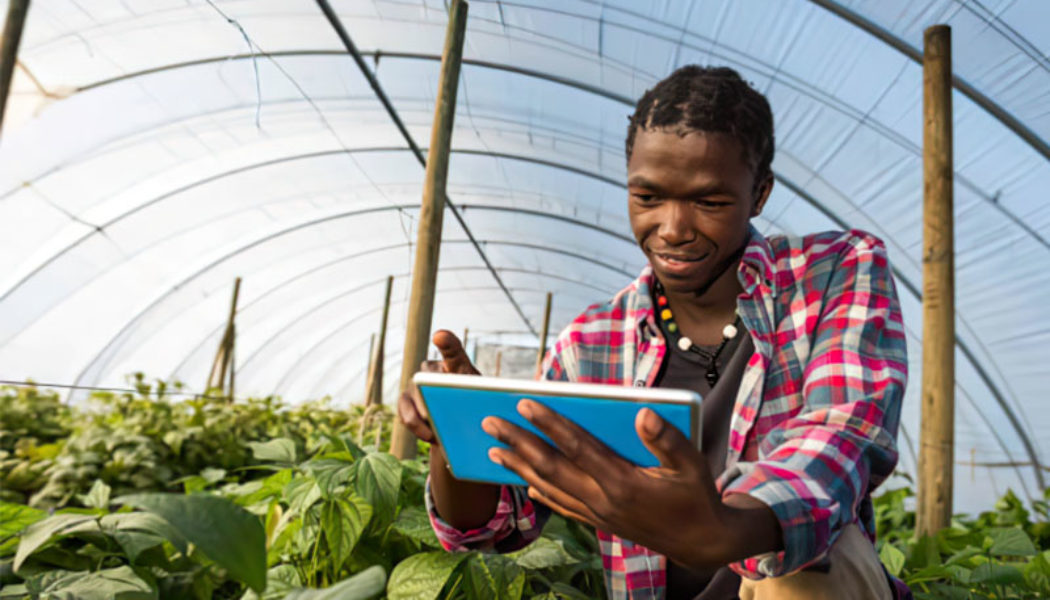 SA’s Maize Farmers Set to Benefit From this New Agritech Innovation