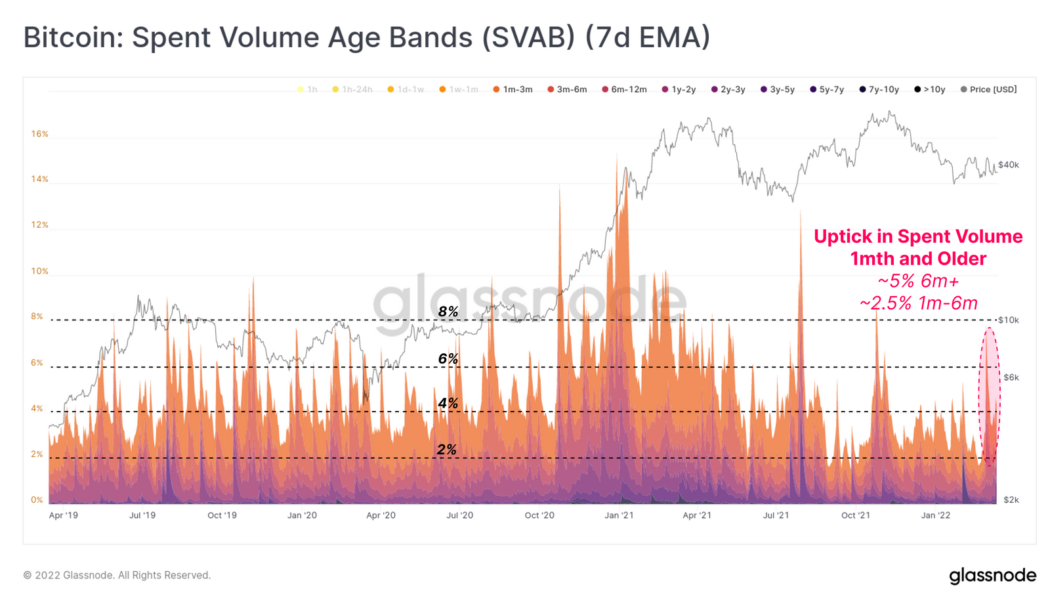 Short term Bitcoin buyers transition to long term holders: Glassnode