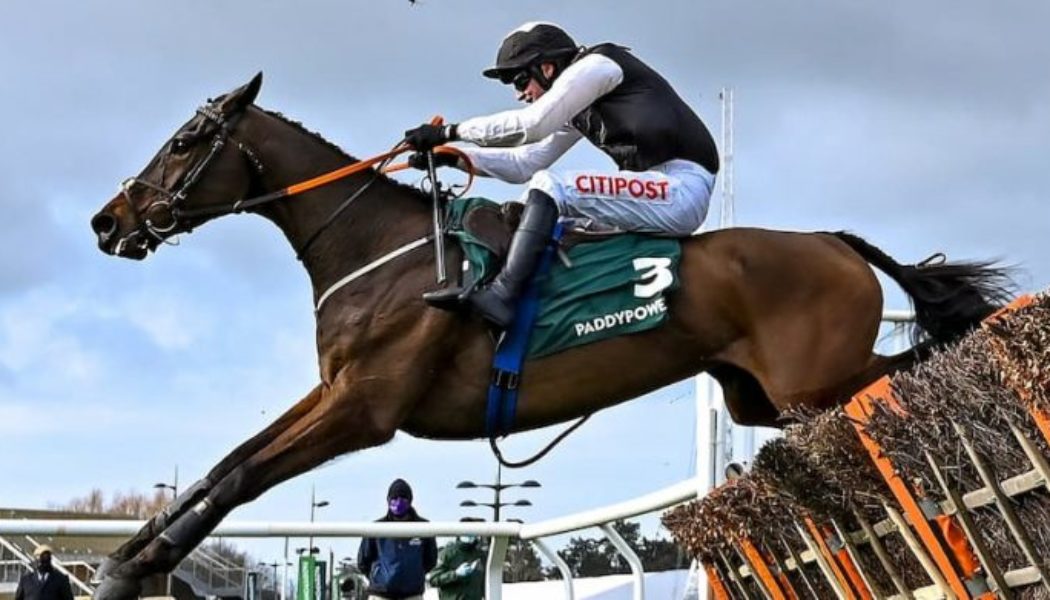 Stayers Hurdle Trends: Is Flooring Porter Worth Taking On at Cheltenham?