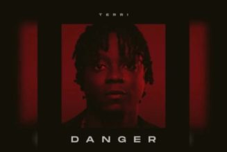 Terri – Danger