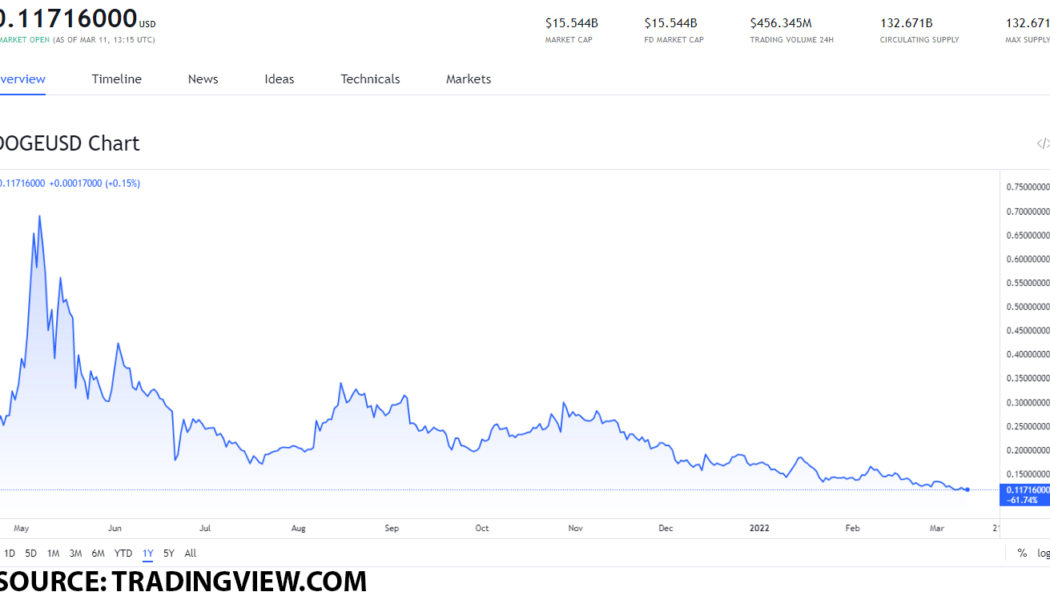 The bests meme-coins you can buy on March 11, 2022: DOGE, SHIB and ELON