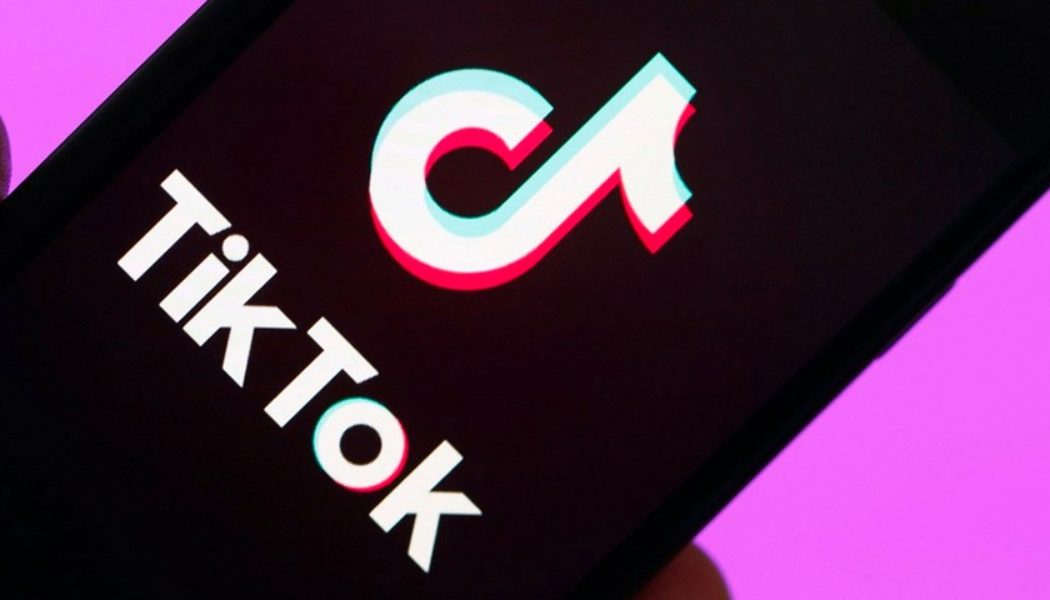 TikTok Launches New Video Creation Tool: TikTok Library