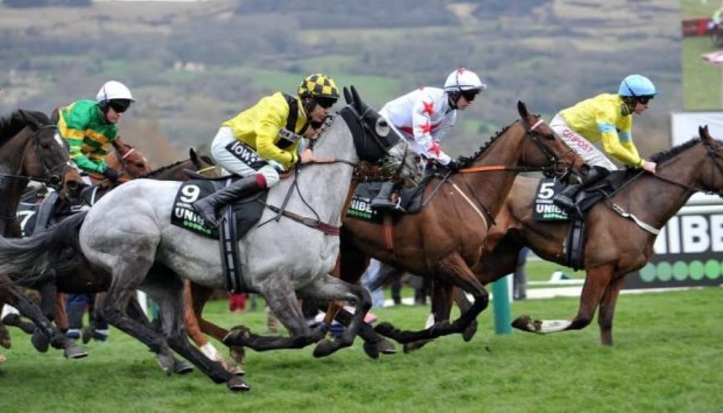 Top 5 New Cheltenham Betting Sites with £125 in Horse Racing Free Bets