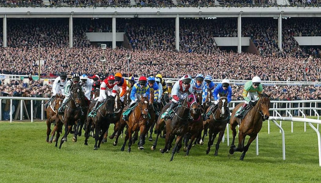 Virgin Bet Cheltenham Sign Up offer: £30 Cheltenham Free Bet