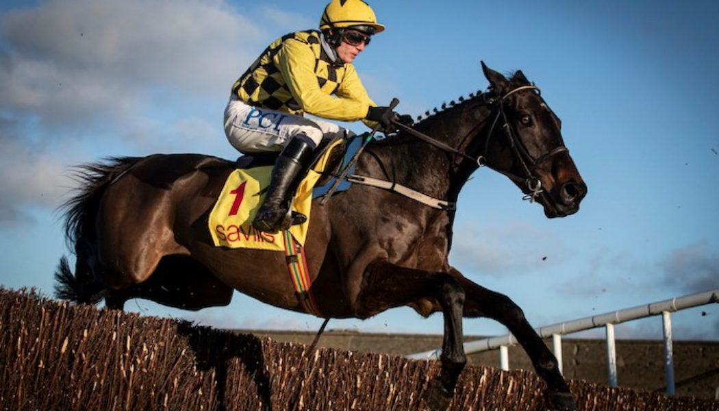 William Hill Cheltenham Betting Offers | £50 Cheltenham Free Bet for 2022 Festival