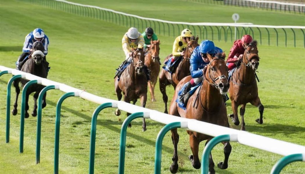 3.35 Newmarket Tips | Feilden Stakes Best Bets and Trends on Thursday