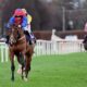 888sport Punchestown Betting Offer: Facile Vega 6/1 for Champion Bumper