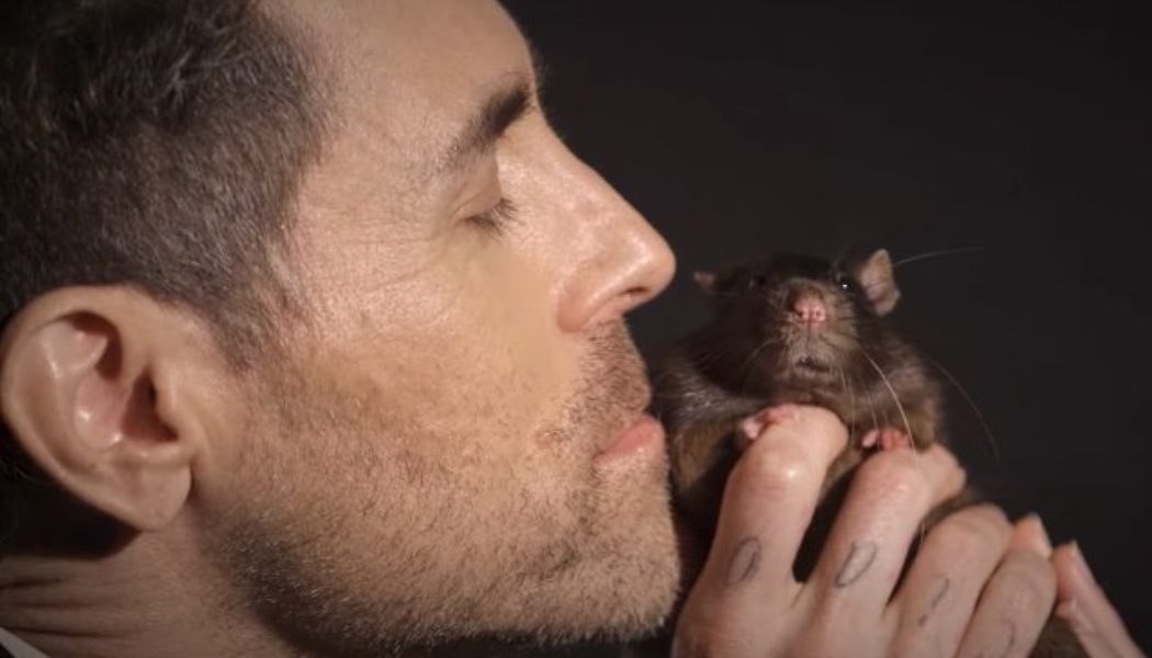 AFI’s DAVEY HAVOK Blasts Animal Experiments In New PETA Spot For ‘World Rat Day’