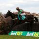 bet365 Gold Cup Betting News | 26 Horses Remain For Sandown Race