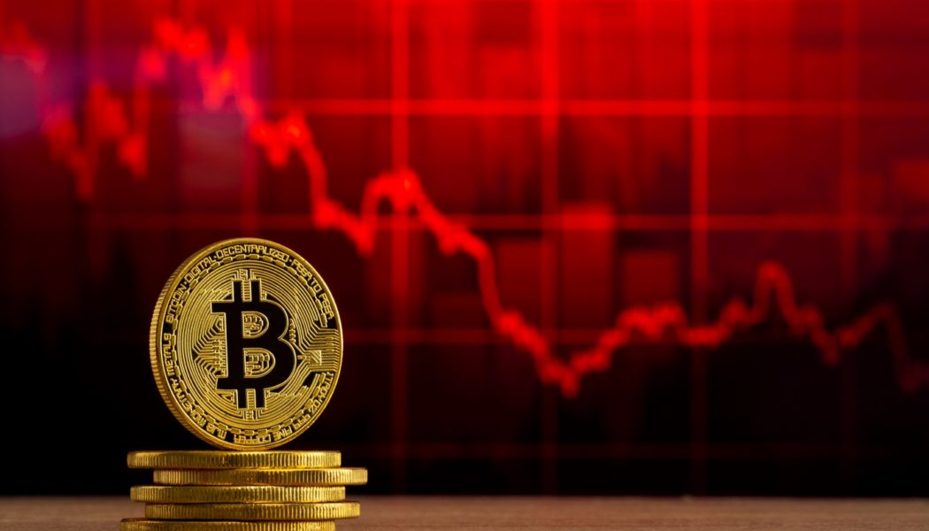 Bitcoin loses support above $42,000 as crypto markets turn red