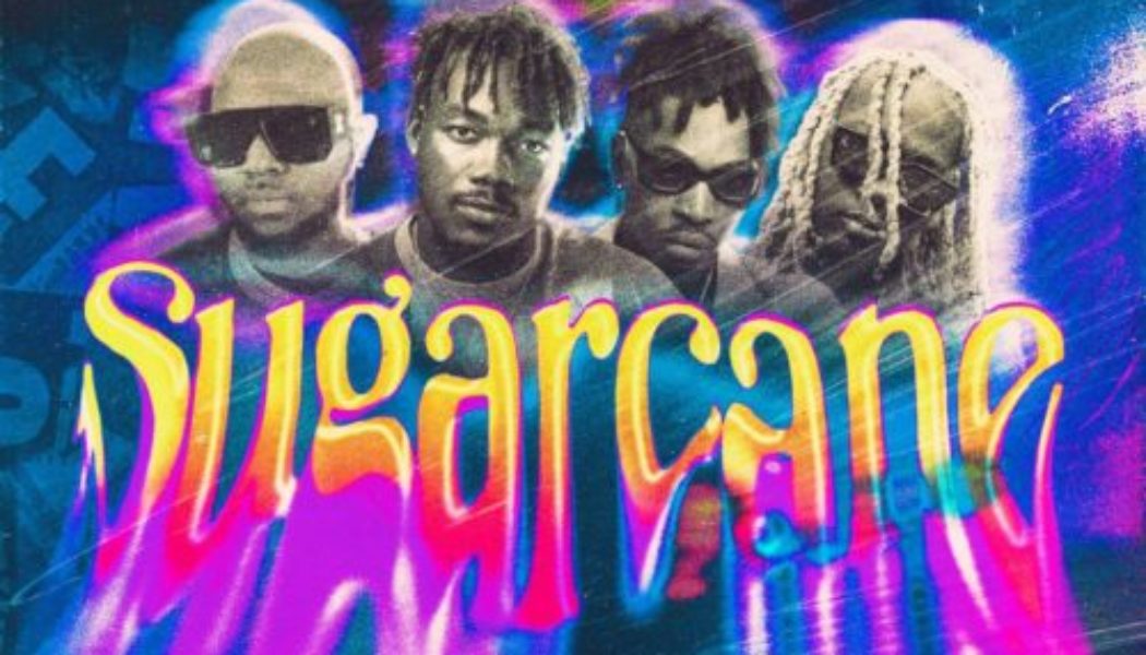 Camidoh ft King Promise, Mayorkun & Darkoo – Sugarcane (Remix)