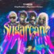 Camidoh ft King Promise, Mayorkun & Darkoo – Sugarcane (Remix)