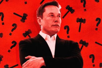 Elon Musk says the SEC’s investigations into Tesla are ‘like having a gun to your child’s head’