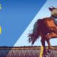 Fitzdares Sandown Races Free Bet Offer: £30 Horse Racing Sign-up Bonus