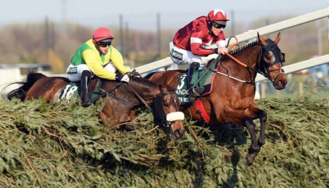 Grand National Each Way Betting Explained Including Places and Payouts