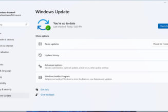 How to pause and disable Windows 11 updates