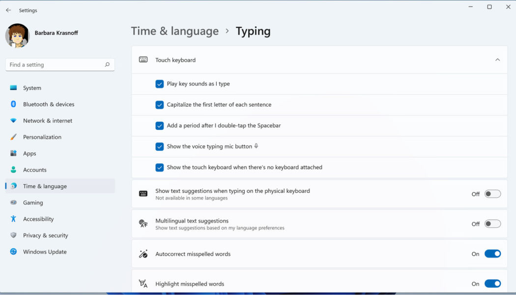 How to type special characters on a Windows 11 PC