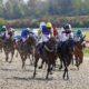 ITV Horse Racing Tips and Trends | Best Bets for 3.30 and 4.05 Kempton