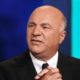 Kevin O’Leary says Bitcoin can’t crash as it is now a store of value