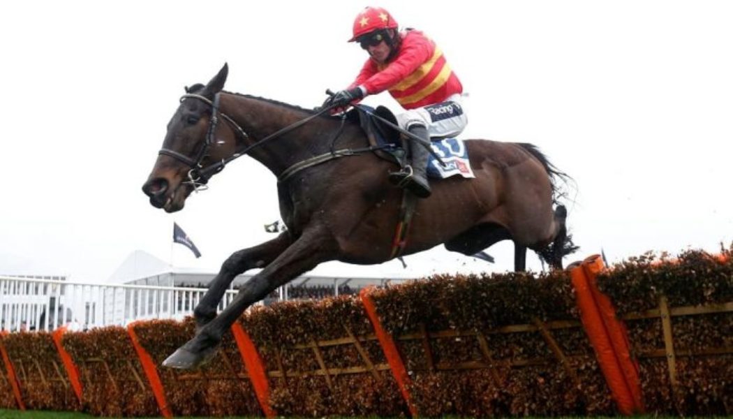 Ladbrokes Champion Stayers Hurdle Trends | Punchestown Festival Tips