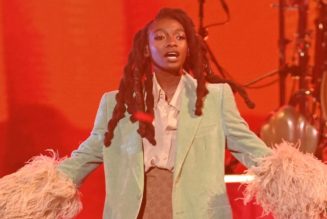 Little Simz Postpones North American Tour, Citing Financial Concerns