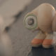 Marcel Searches for Other Shells in Trailer for Marcel the Shell with Shoes On: Watch