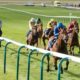 Newbury Lucky 15 Tips: Four Horse Racing Tips on Saturday 16th April