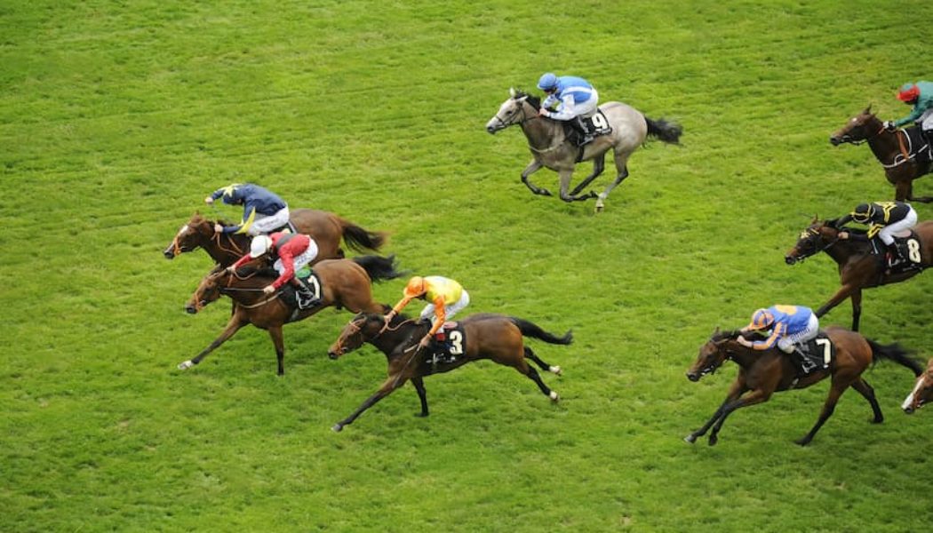 Newmarket Lucky 15 Tips: Four Horse Racing Tips on Tuesday 12th April