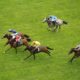 Newmarket Lucky 15 Tips: Four Horse Racing Tips on Tuesday 12th April