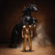 Orville Peck Unleashes New Album Bronco: Stream