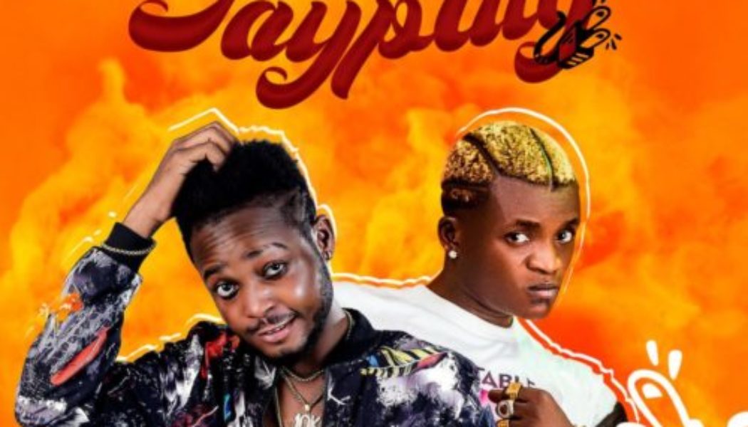 Professional Beat ft Portable – Jayplug