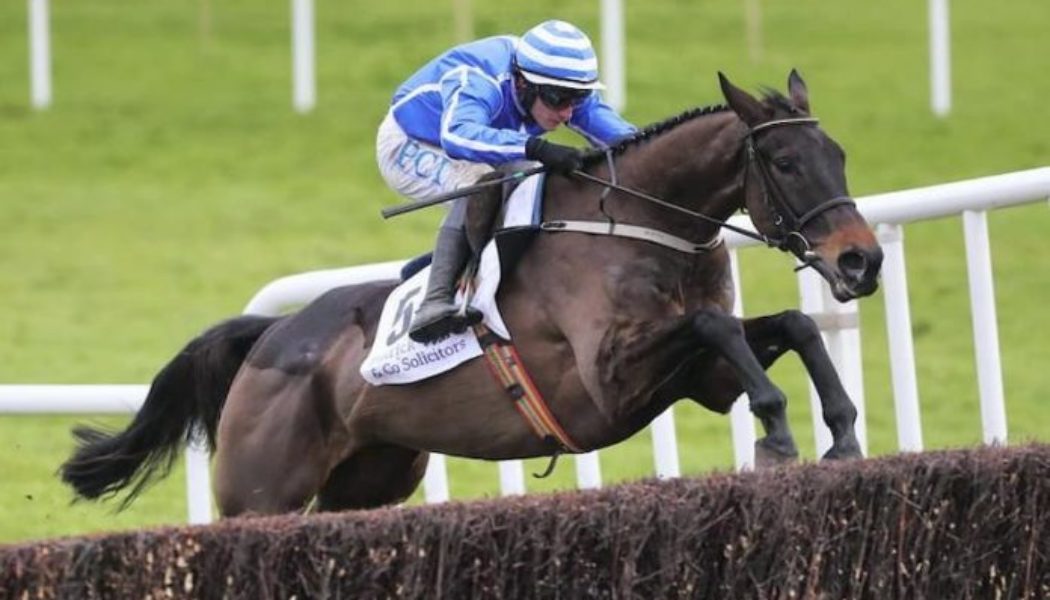 Punchestown Champion Chase Trends | Punchestown Festival Tips and Stats