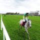 Punchestown Festival Bankers On Day Four, Friday 29th April