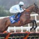 Punchestown Festival Horse Racing Tips For Day Four, Friday 29th April