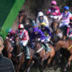 Ruby Walsh Grand National Tips | Aintree Best Bets For Day One