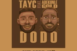 TayC ft Adekunle Gold – Dodo