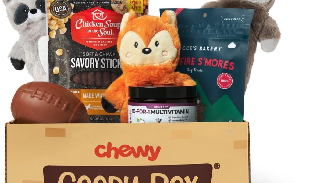 The Best Gifts to Spoil Your Cat or Dog for National Pet Day