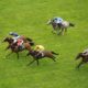 Today’s Lucky 15 Tips: Four Horse Racing Tips on Saturday 30th April