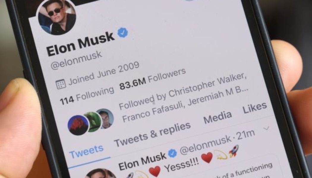 Twitter Experiences Mass Deactivations After Elon Musk Takeover