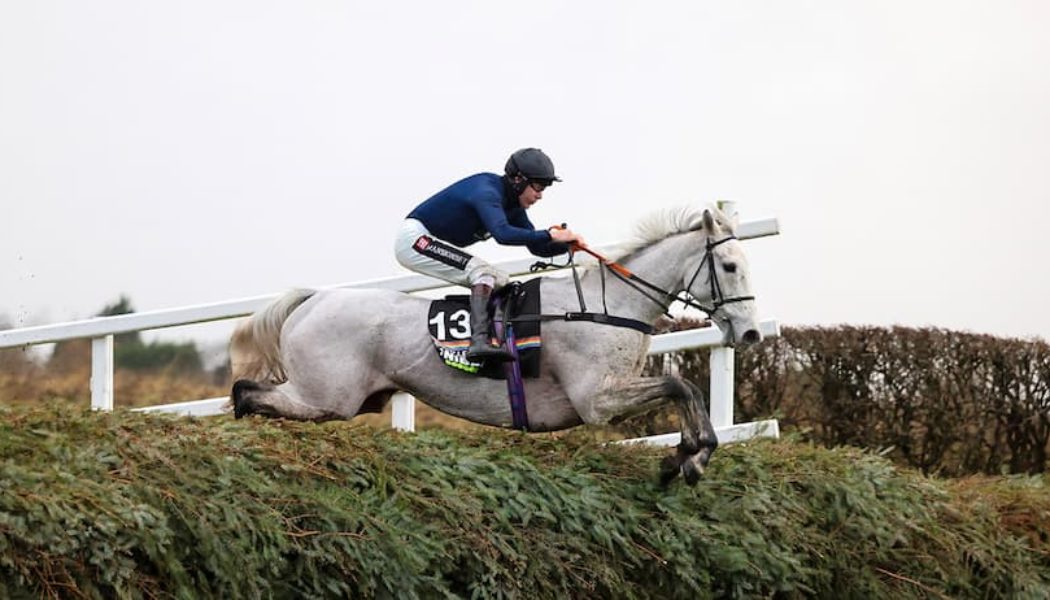 Which Horse Is Going To Win The 2022 Grand National?