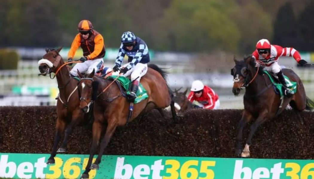 Which Horse Will Win Today’s bet365 Gold Cup? | Sandown Horse Racing Tips