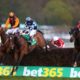 Which Horse Will Win Today’s bet365 Gold Cup? | Sandown Horse Racing Tips