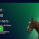 William Hill Punchestown Festival Sign Up Offer | £30 Free Bet For Punchestown