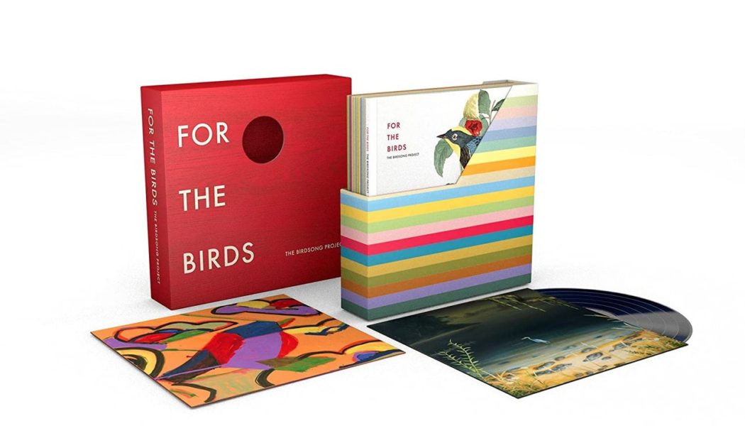 Beck, Animal Collective, Jeff Tweedy, Karen O, Kamasi Washington, and More Join Birdsong-Inspired Compilation