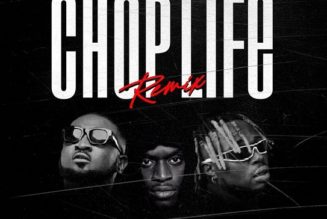 Ceeza Milli – Chop Life (Remix) ft. Sneakbo, Mr. Dutch