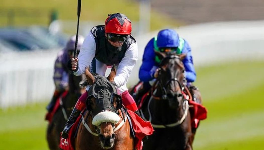 Chester Cup Betting News | Can Falcon Eight Win The Chester Cup Again?