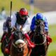 Chester Cup Betting News | Can Falcon Eight Win The Chester Cup Again?